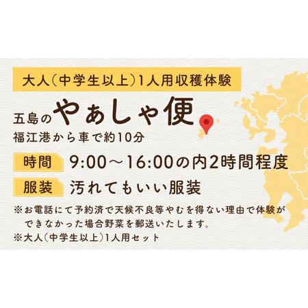 ふるさと納税 旬野菜の収穫体験 お土産の特典付 大人1人分 五島市/株式会社五島のやぁしゃ便 [PBG006]  野菜 やさい 収穫 体験 長崎県五島市の画像