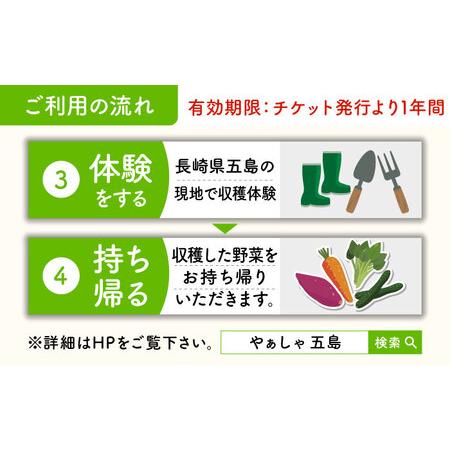 ふるさと納税 旬野菜の収穫体験 お土産の特典付 大人1人分 五島市/株式会社五島のやぁしゃ便 [PBG006]  野菜 やさい 収穫 体験 長崎県五島市の画像