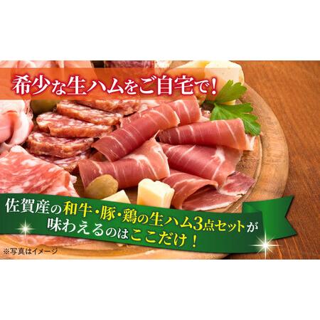 ふるさと納税 佐賀の生ハム3種で夢の饗宴 全3種（各3パック） / 佐賀県 [41AECT016] 佐賀県