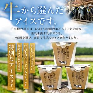 ふるさと納税 生乳の味を極めた特撰アイス19個セット 【千本松牧場】 ns025-011-19 お菓子 スイーツ アイス 牧場 アイスクリーム 牛乳 アイ.. 栃木県那須塩原市の画像