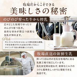 ふるさと納税 生乳の味を極めた特撰アイス19個セット 【千本松牧場】 ns025-011-19 お菓子 スイーツ アイス 牧場 アイスクリーム 牛乳 アイ.. 栃木県那須塩原市の画像