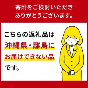 ふるさと納税 生乳の味を極めた特撰アイス19個セット 【千本松牧場】 ns025-011-19 お菓子 スイーツ アイス 牧場 アイスクリーム 牛乳 アイ.. 栃木県那須塩原市の画像
