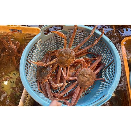 ふるさと納税 (訳あり)北海道産・おおずわいかに(ボイル冷凍) 3〜7尾 カニ ズワイガニ 蟹 楚蟹 ずわいガニ ずわい蟹 冷凍 ボイル 海産物 F4F-802.. 北海道釧路市_3