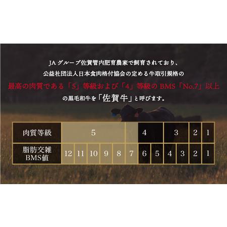 ふるさと納税 佐賀牛ハンバーグ 計2.7kg (150g×6個×3回) 佐賀県大町町_2