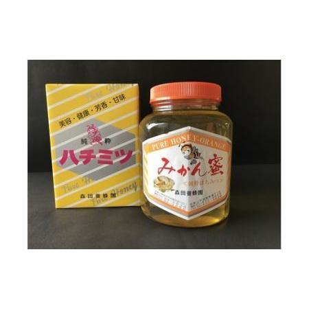 ふるさと納税 国産純粋はちみつ(みかん蜜) 2kg(B89-1) 和歌山県有田市の画像