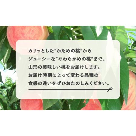 ふるさと納税 【先行予約】もも 桃 品種おまかせ 白桃 ご家庭用 約3kg(6~12個程度)  2026年産 山形県産 ※沖縄・離島への配送不可 tf-moywm3 山形県山辺町の画像