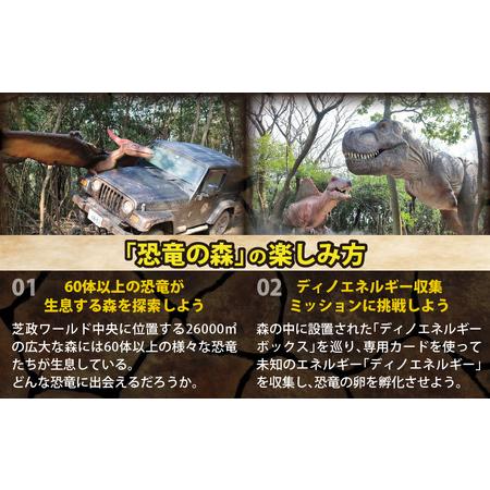 ふるさと納税 芝政ワールド スーパーパスポート1名様（こども1名