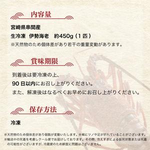ふるさと納税 【先行予約】 ＜数量限定＞宮崎県串間産伊勢エビ（約450g）_K027-001 宮崎県串間市_4