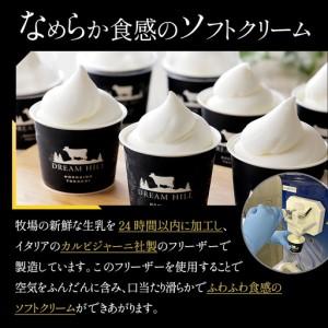 ふるさと納税 ドリームドルチェ A2ミルク 生ソフトクリーム 130ml×8個