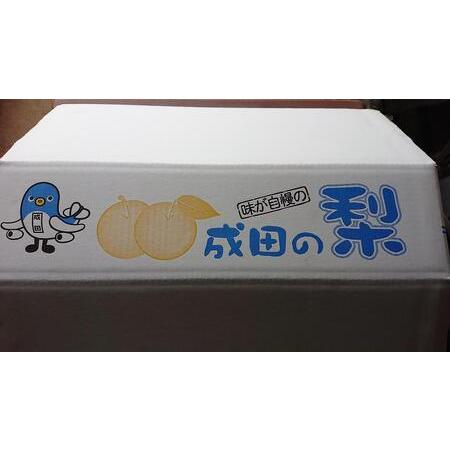 ふるさと納税 梨 3kg 幸水または豊水【日時指定不可】フルーツ 果物 ナシ なし 和梨 季節のフルーツ 季節の果物 旬のフルーツ 旬の果物 千葉 千.. 千葉県成田市_3