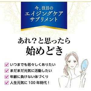 ふるさと納税 ＜3ヶ月連続定期便＞NMN[027Y27-T]βーNMN NMNサプリメント NMN60粒 愛知県小牧市_2
