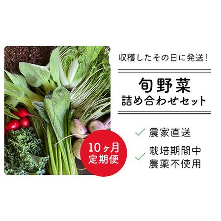 ふるさと納税 【10ヶ月 定期便】【栽培期間中農薬不使用】農家直送！「９品」季節の新鮮野菜詰め合わせセット AIBA FARM TML004 / 野菜セット 無.. 千葉県富里市の画像
