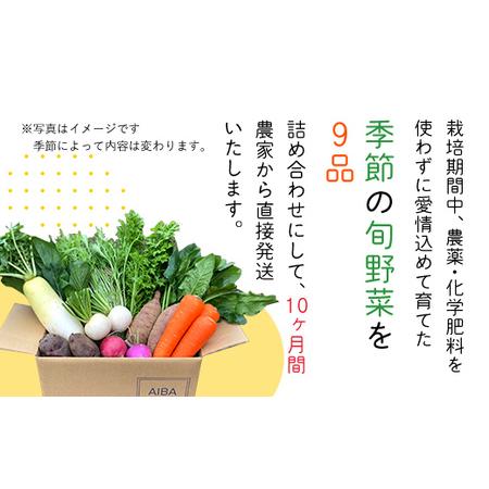 ふるさと納税 【10ヶ月 定期便】【栽培期間中農薬不使用】農家直送！「９品」季節の新鮮野菜詰め合わせセット AIBA FARM TML004 / 野菜セット 無.. 千葉県富里市の画像