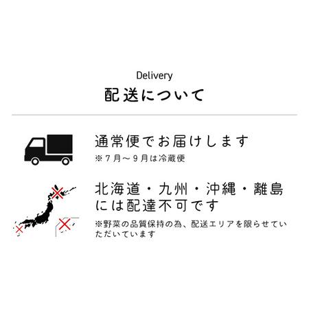 ふるさと納税 【10ヶ月 定期便】【栽培期間中農薬不使用】農家直送！「９品」季節の新鮮野菜詰め合わせセット AIBA FARM TML004 / 野菜セット 無.. 千葉県富里市の画像