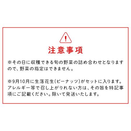 ふるさと納税 【10ヶ月 定期便】【栽培期間中農薬不使用】農家直送！「９品」季節の新鮮野菜詰め合わせセット AIBA FARM TML004 / 野菜セット 無.. 千葉県富里市の画像