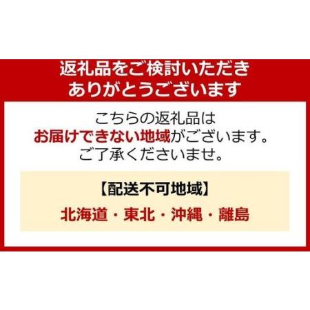 ふるさと納税 【定期便 全3回】阿蘇くじゅうの天然水 2L×12本（6本×2ケース）【名水百選】＜天然シリカ71mg/L 硬度約41mg/L＞トライ.. 大分県由布市の画像