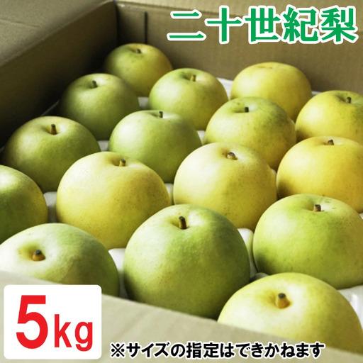 ふるさと納税 鳥取県産 二十世紀梨 5kg 鳥取県日吉津村
