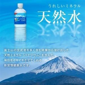 ふるさと納税 【毎月定期便】【3か月お届け】バナジウム天然水 600ml【24本入】アサヒ飲料全3回【4053272】 山梨県山梨市の画像