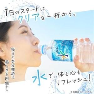ふるさと納税 【毎月定期便】【3か月お届け】「おいしい水」 天然水 富士山 600ml【24本入】アサヒ飲料全3回【4053314】 山梨県山梨市の画像