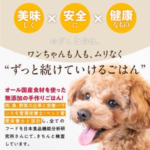 ふるさと納税 ペットフード 無添加ドッグフード・ブルズごはんお楽しみBOX_無添加ドッグフード 詰合せセット ブルズごはんお楽しみBOX CUBE型 .. 福岡県久留米市_1