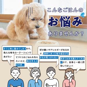 ふるさと納税 ペットフード 無添加ドッグフード・ブルズごはんお楽しみBOX_無添加ドッグフード 詰合せセット ブルズごはんお楽しみBOX CUBE型 .. 福岡県久留米市_2