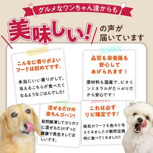 ふるさと納税 ペットフード 無添加ドッグフード・ブルズごはんお楽しみBOX_無添加ドッグフード 詰合せセット ブルズごはんお楽しみBOX CUBE型 .. 福岡県久留米市_3