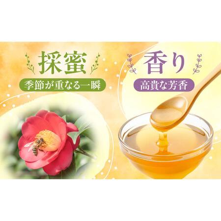 ふるさと納税 【ギフト箱入り】椿はちみつ（200g×3本） / はちみつ 国産 非加熱 純粋 蜂蜜 天然 ハチミツ / 稲沢市 / 椿園株式会社 [BMBI00.. 愛知県稲沢市の画像