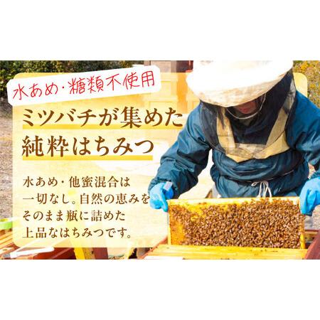 ふるさと納税 【ギフト箱入り】椿はちみつ（200g×3本） / はちみつ 国産 非加熱 純粋 蜂蜜 天然 ハチミツ / 稲沢市 / 椿園株式会社 [BMBI00.. 愛知県稲沢市の画像