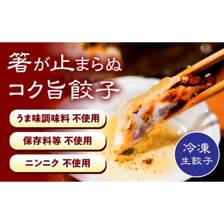 ふるさと納税 元祖 「尾張名物とり餃子」 90個 / 餃子 ニンニク不使用 冷凍 ギョーザ 生餃子 おつまみ / 稲沢市 / 平飼い自然卵歩荷 [BMBM006] 愛知県稲沢市_1