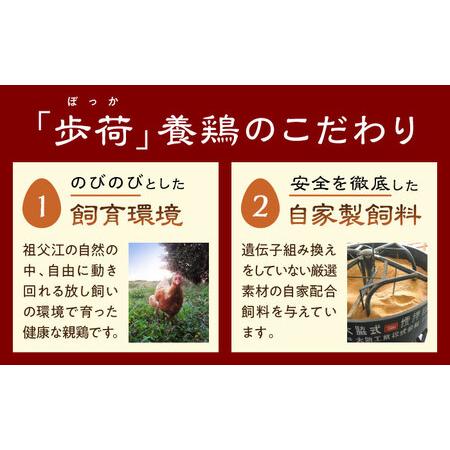ふるさと納税 元祖 「尾張名物とり餃子」 90個 / 餃子 ニンニク不使用 冷凍 ギョーザ 生餃子 おつまみ / 稲沢市 / 平飼い自然卵歩荷 [BMBM006] 愛知県稲沢市_2