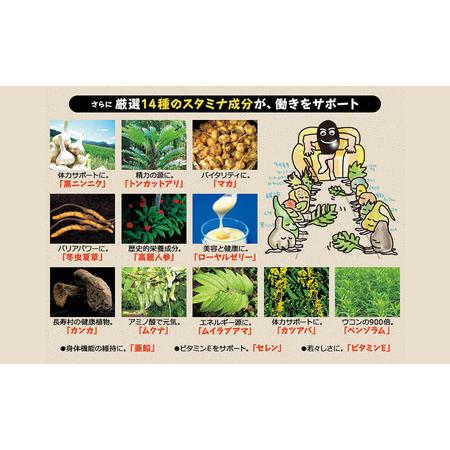 ふるさと納税 DHC醗酵黒セサミン＋スタミナ30日分 2個(60日分)セット 静岡県袋井市の画像