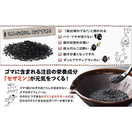 ふるさと納税 DHC醗酵黒セサミン＋スタミナ30日分 2個(60日分)セット 静岡県袋井市の画像