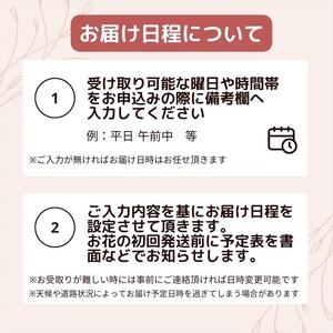 ふるさと納税 「毎月」届く、旬のお花（12回/1年間） 神奈川県小田原市 「毎月」届く、旬のお花（12回/1年間） 神奈川県小田原市 ふるさと納税