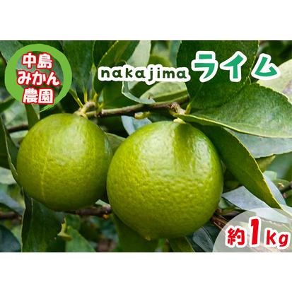 ふるさと納税 [2026年10月上旬から順次発送]ライム 1kg 中島みかん農園|柑橘 果汁酸味 果物 くだもの 果実 国産 フルーツ 有名 愛媛 松山 瀬.. 愛媛県松山市
