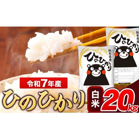 ふるさと納税 米 令和7年産 ひのひかり 白米 20kg 熊本県長洲町
