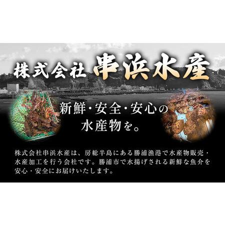 ふるさと納税 【刺身OK】千葉県勝浦産 生冷活〆 天然伊勢海老 3kg 6-11尾入 株式会社串浜水産《90日以内に出荷予定(土日祝除く)》【配送不可地域.. 千葉県勝浦市の画像