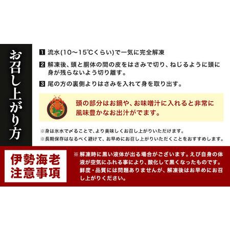 ふるさと納税 【刺身OK】千葉県勝浦産 生冷活〆 天然伊勢海老 3kg 6-11尾入 株式会社串浜水産《90日以内に出荷予定(土日祝除く)》【配送不可地域.. 千葉県勝浦市の画像