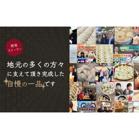 ふるさと納税 餃子 水餃子 巣鴨餃子 パクチー水餃子としそ水餃子の組み合わせ 各2袋 48個 清緑園 ぎょうざ ギョウザ セット しそ パクチー 冷凍.. 東京都豊島区_3