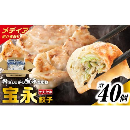 ふるさと納税 ぎょうざ の宝永 宝永 餃子 10個 入 セット( 宝永餃子 10個入 × 4袋 )合計1.0kg T004-003 惣菜 総菜 加工食品 北海道苫小牧市
