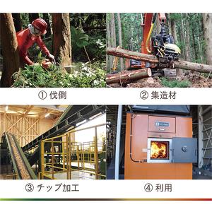 ふるさと納税 最上町産 薪 セット 約18kg 1箱 山形県最上町_2