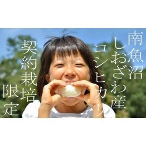 ふるさと納税 【令和8年産 新米予約】定期便6ヶ月：精米2Kg 契約栽培限定 南魚沼しおざわ産コシヒカリ【2026年10月上旬から1ヶ月以内に順次発.. 新潟県南魚沼市の画像