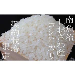 ふるさと納税 【令和8年産 新米予約】定期便6ヶ月：精米2Kg 契約栽培限定 南魚沼しおざわ産コシヒカリ【2026年10月上旬から1ヶ月以内に順次発.. 新潟県南魚沼市の画像