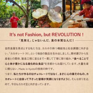 ふるさと納税 【Premarche Cacaolate Lab】国際コンテスト入賞店の手づくりチョコレート フレーバー食べ比べ6枚セット 京都府京都市_1