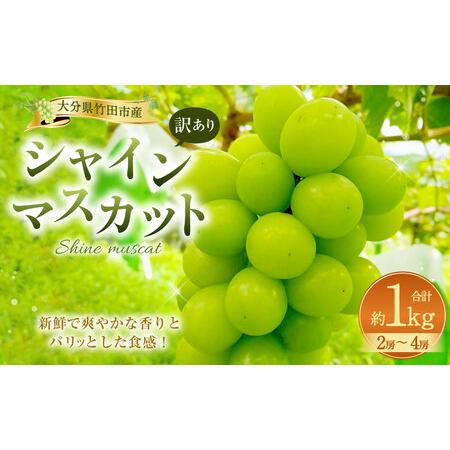 ふるさと納税 【2025年度分先行予約】【数量限定】規格外 訳あり ふるさと納税 【2025年度分先行予約】【数量限定】規格外 訳あり