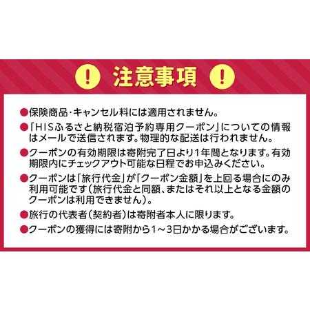 ふるさと納税 HISふるさと納税宿泊予約専用クーポン（東京都台東区）21,000円分_0206-005-T06 東京都台東区の画像