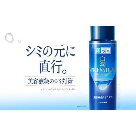 ふるさと納税 ロート製薬【肌ラボ 白潤プレミアムしっとりタイプ】化粧水＋乳液4点セット（各ボトル＋つめかえ用） 三重県伊賀市