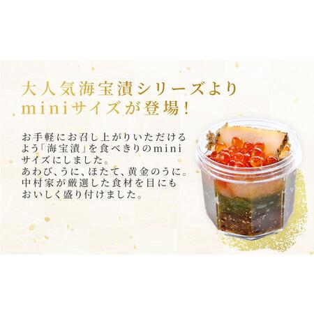 ふるさと納税 fn-25-017 海宝mini詰合せ 中村家 海鮮 いくら あわび めかぶ うに 岩手県釜石市の画像