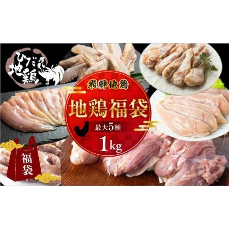 ふるさと納税 飛騨地鶏 地鶏 モモ肉 手羽先 手羽元 ささみ 合計1 7kg 鶏肉 飛騨 B0255 岐阜県飛騨市 最大55 オフ