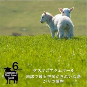 ふるさと納税 【2個セット】やわらかラムウール混 北欧調クッション 45×45cm (ピンク1枚・グリーン1枚)【1526734】 大阪府和泉市の画像