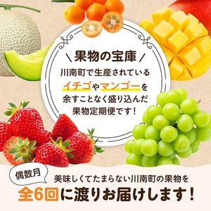 ふるさと納税  デラックス 定期便 【偶数月】【 川南町産 きんかん いちご 完熟 マンゴー ぶどう シャイン マスカット メロン  全6回定期便 】 宮崎県川南町_1